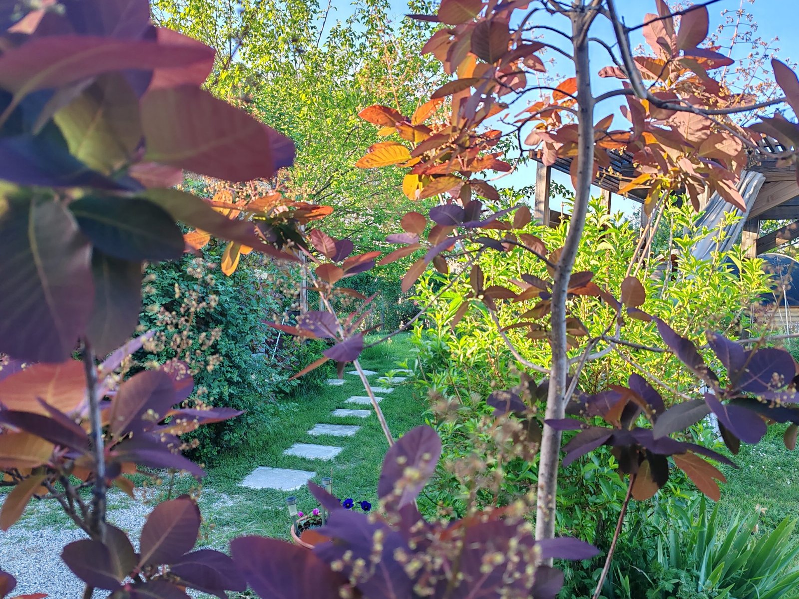 Jardin